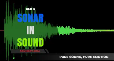 Understanding SONAR: How Sound Waves Revolutionize Navigation and Detection