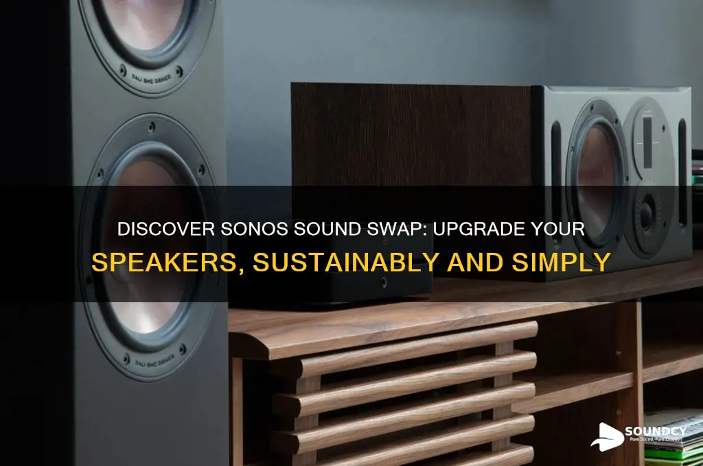 what is sonos sound swap