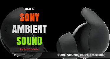 Sony Ambient Sound: Enhancing Audio Awareness for Everyday Listening