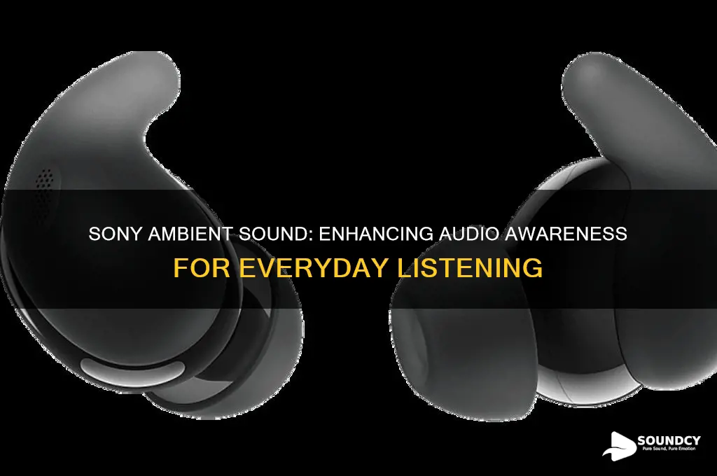 what is sony ambient sound
