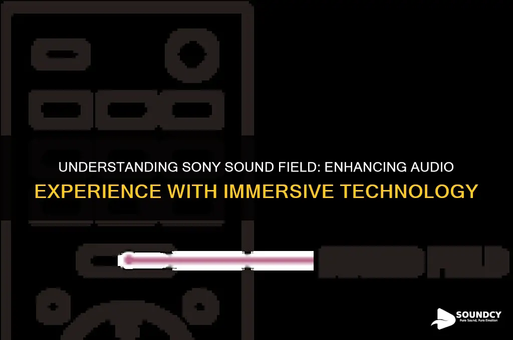 what is sony sound field