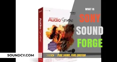 Discover Sony Sound Forge: Audio Editing Powerhouse for Professionals