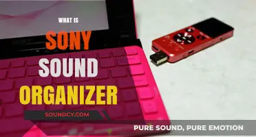 Understanding Sony Sound Organizer: Features, Benefits, and How to Use It