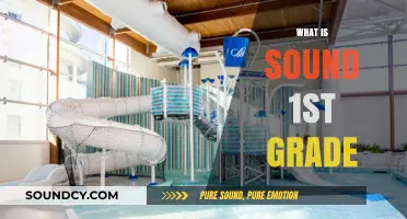 Exploring Sound: A Fun First Grade Science Adventure