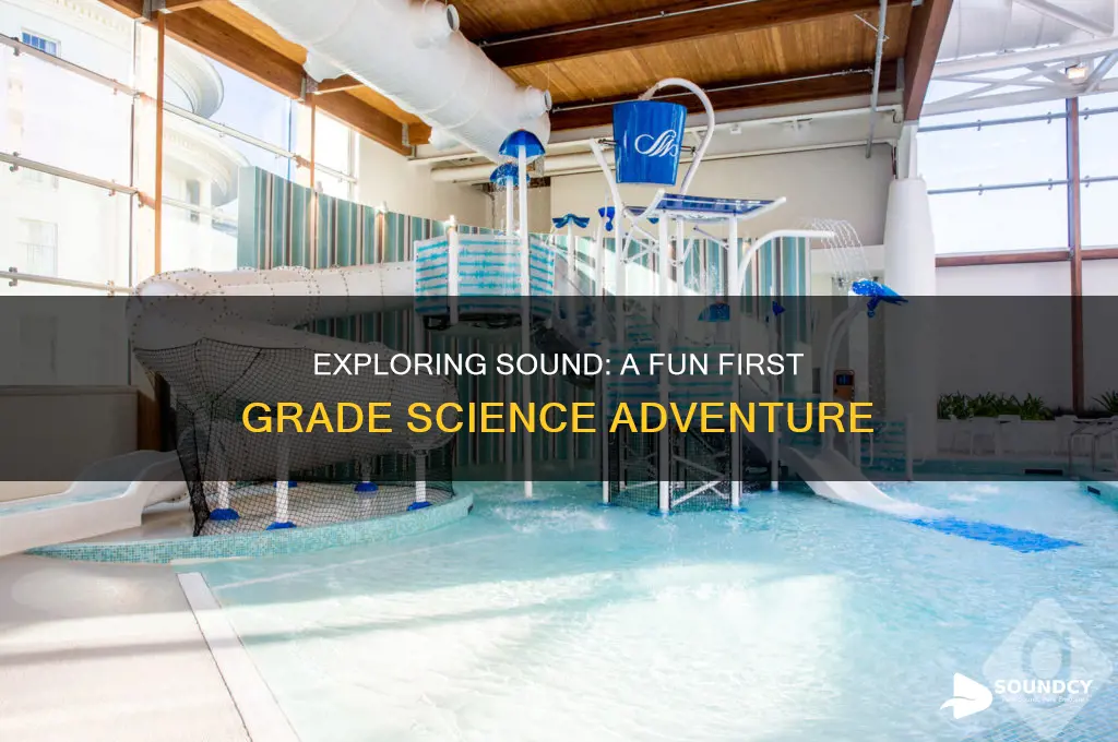 what is sound 1st grade