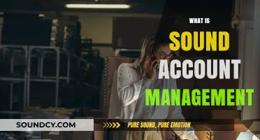 Mastering Sound Account Management: Strategies for Financial Success and Stability