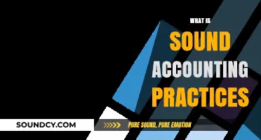 Mastering Sound Accounting Practices for Financial Success and Stability