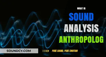 Exploring Sound Analysis: Anthropology's Unique Approach to Studying Human Culture