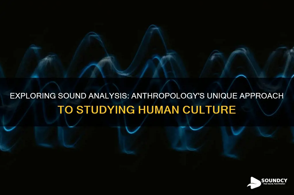 what is sound analysis anthropology