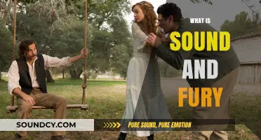 Unraveling the Meaning Behind Sound and Fury: A Deep Dive