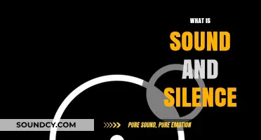 Exploring the Duality of Sound and Silence in Our Lives