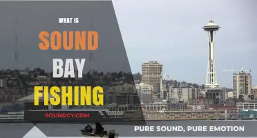 Exploring Sound Bay Fishing: Techniques, Gear, and Best Practices