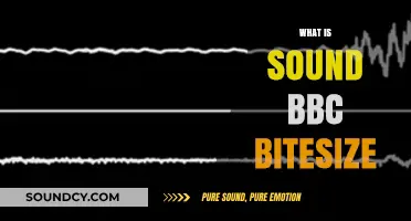 Understanding Sound: A BBC Bitesize Guide to Basics and Beyond