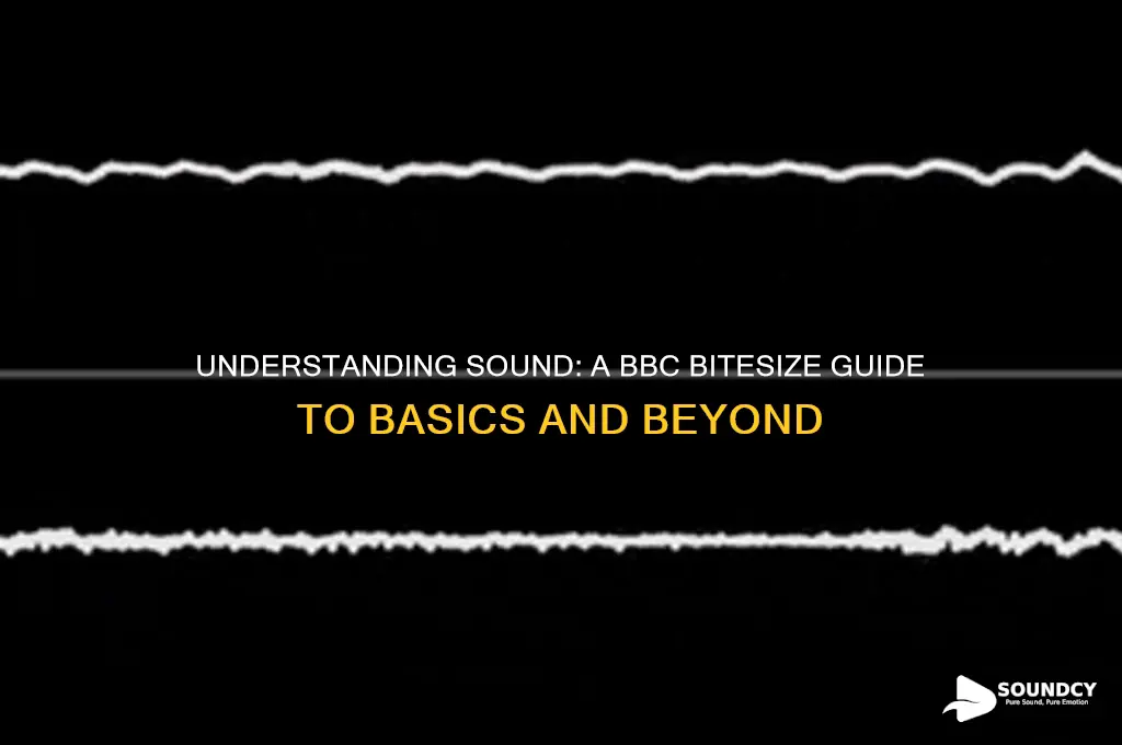 what is sound bbc bitesize