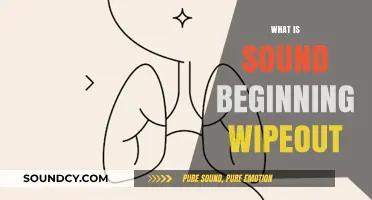 Understanding Sound Beginning Wipeout: Causes, Effects, and Prevention Strategies