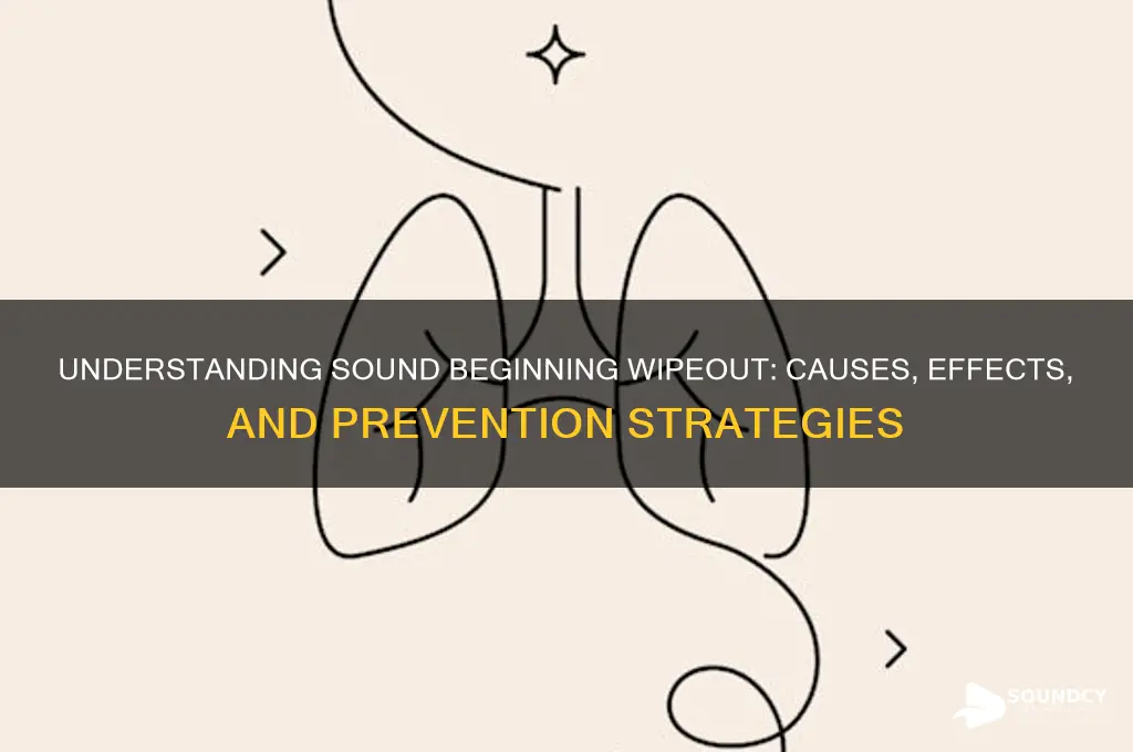 what is sound beginning wipeout
