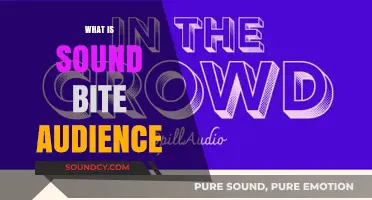 Understanding Sound Bite Audiences: Capturing Attention in a Fast-Paced World