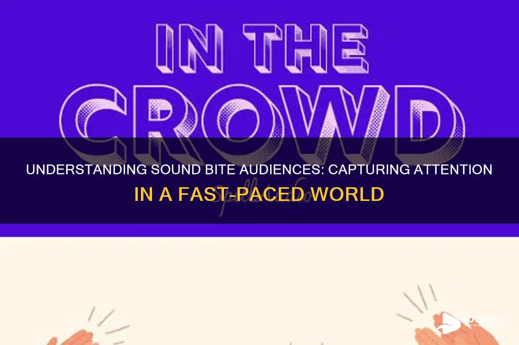 what is sound bite audience