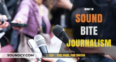 Sound Bite Journalism: How Concise Reporting Shapes Public Perception