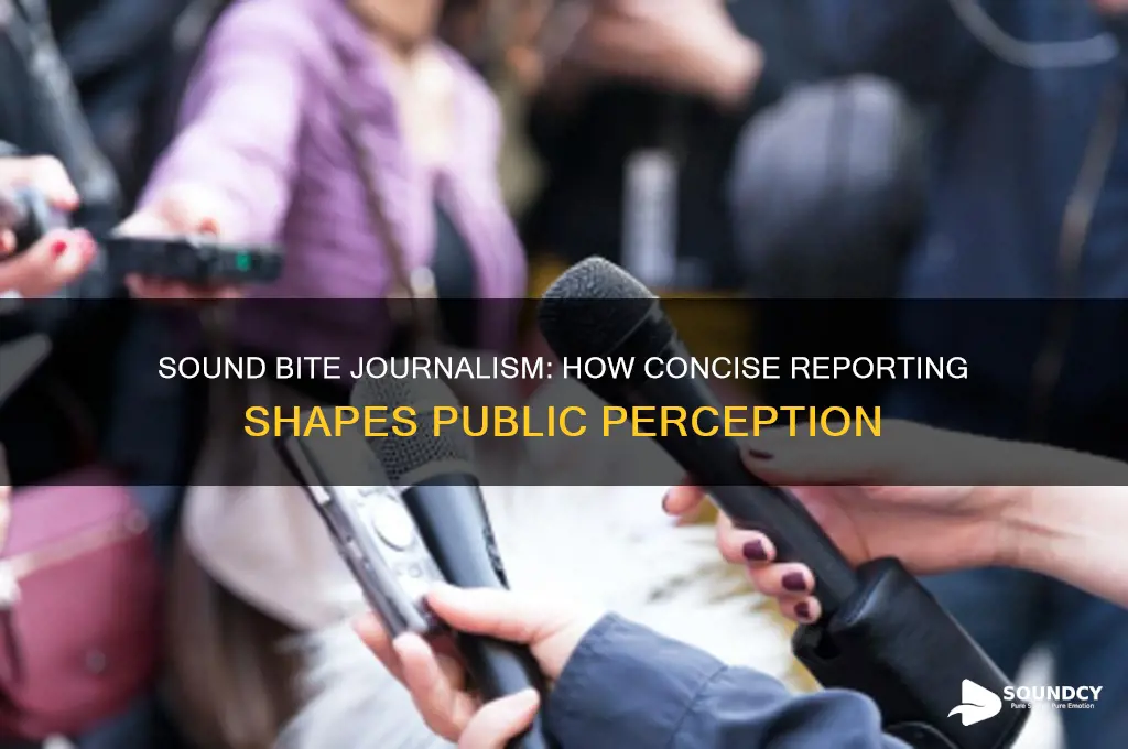what is sound bite journalism