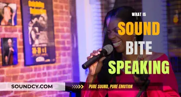 Mastering Sound Bite Speaking: Concise Communication for Maximum Impact