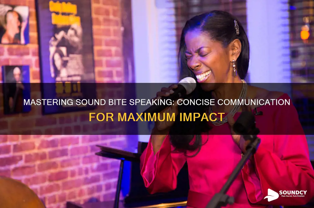 what is sound bite speaking