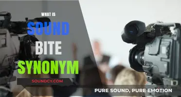 Understanding Sound Bite Synonyms: Concise Phrases for Powerful Communication