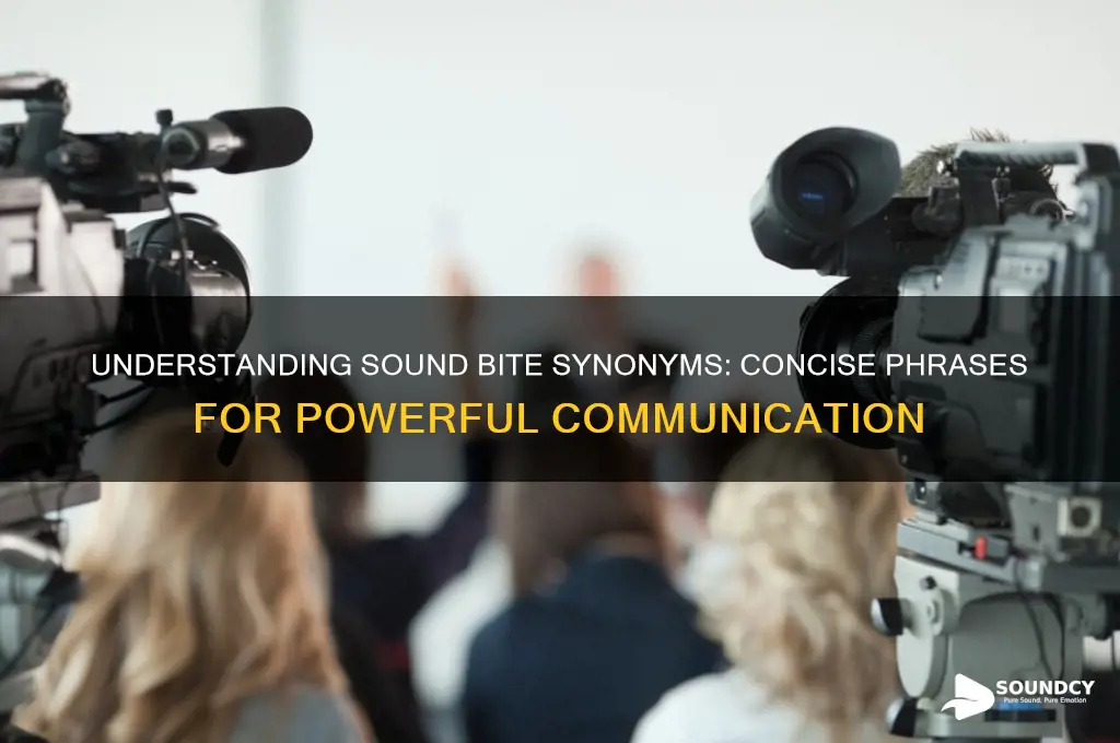 what is sound bite synonym
