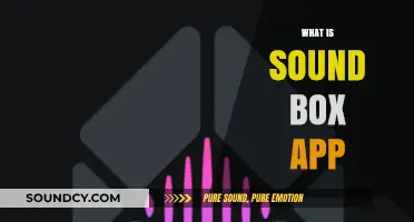 Discover the Sound Box App: Your Ultimate Audio Companion