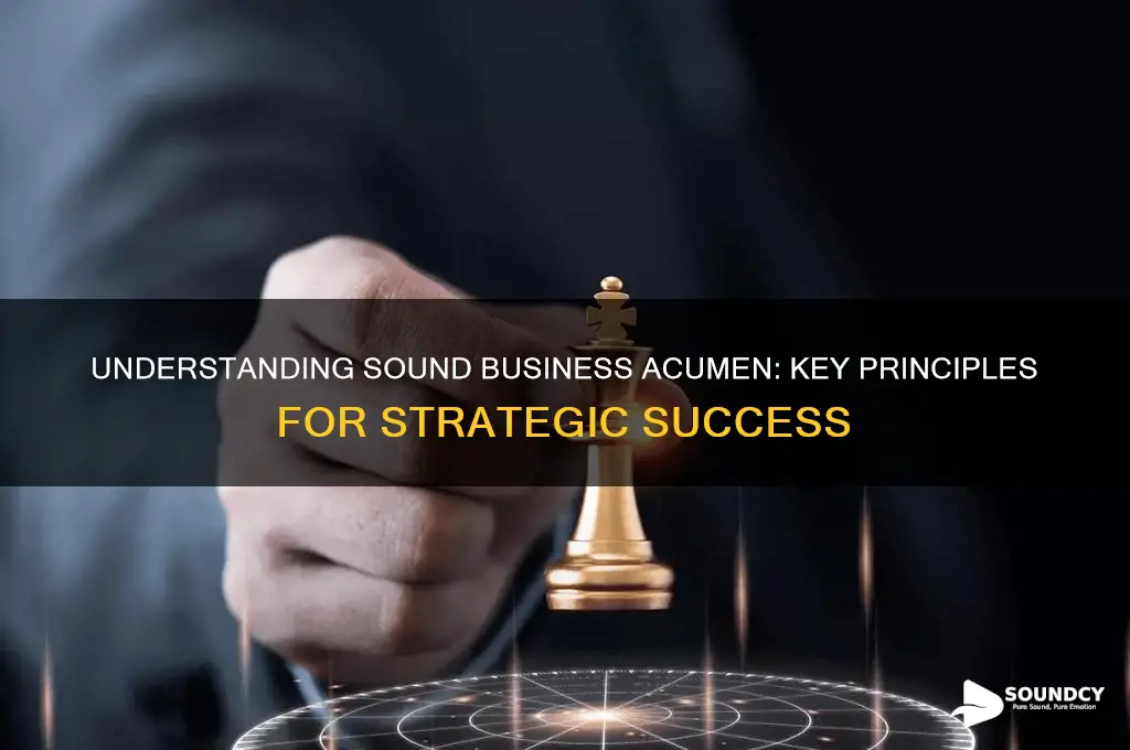 what is sound business acumen