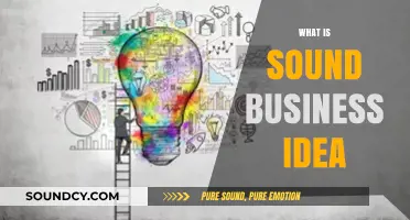 Crafting a Sound Business Idea: Key Principles for Entrepreneurial Success