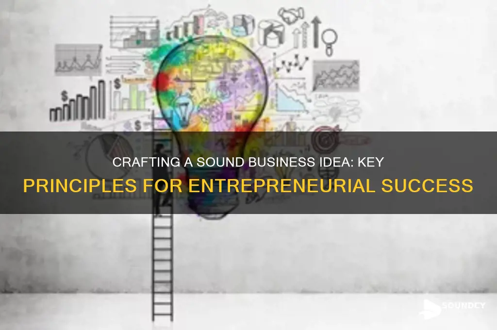 what is sound business idea