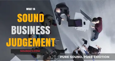 Understanding Sound Business Judgment: Key Principles for Strategic Decision-Making