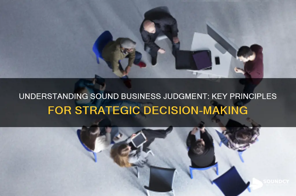 what is sound business judgement