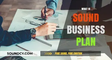 Crafting a Sound Business Plan: Essential Steps for Entrepreneurial Success