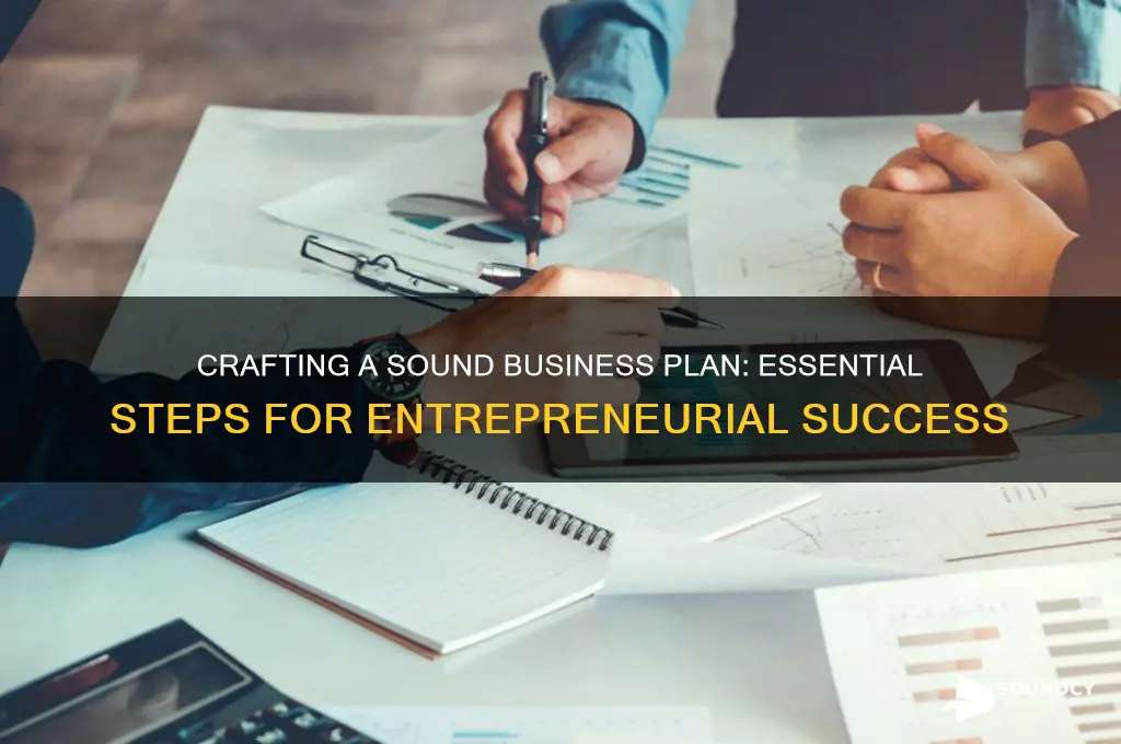 what is sound business plan