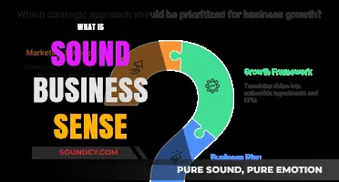 Mastering Sound Business Sense: Strategies for Sustainable Success and Growth