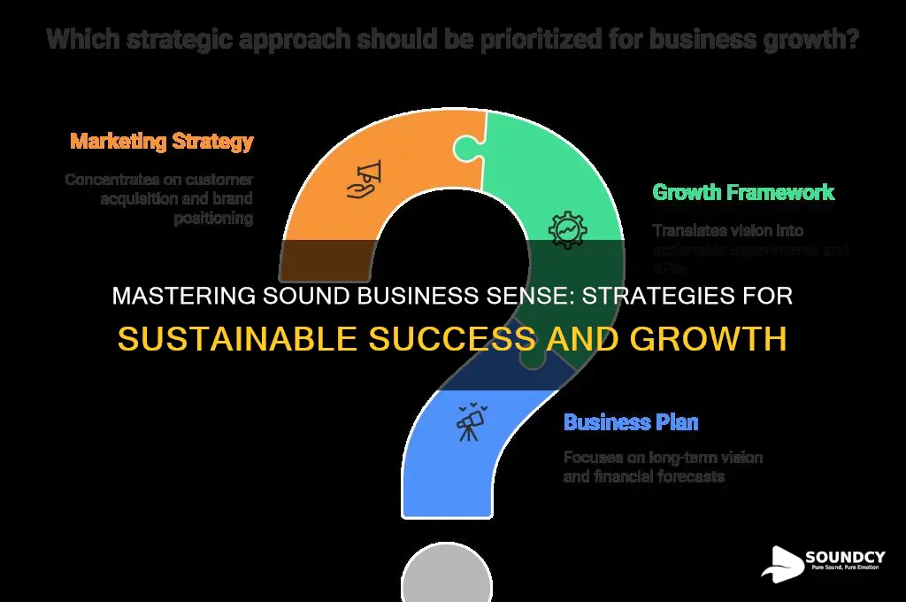 what is sound business sense