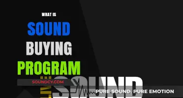 Understanding Sound Buying Programs: A Comprehensive Guide for Smart Purchases