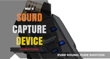 Understanding Sound Capture Devices: Essential Tools for Audio Recording