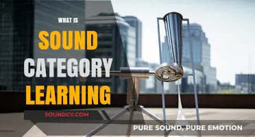 Understanding Sound Category Learning: Concepts, Mechanisms, and Applications