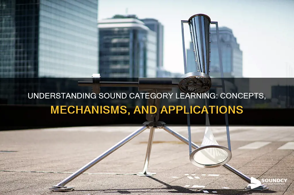 what is sound category learning