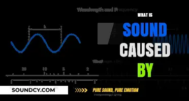 Understanding Sound: Vibrations, Waves, and Their Impact on Perception