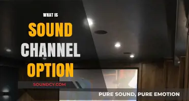 Understanding Sound Channel Options: Enhance Your Audio Experience with the Right Choice
