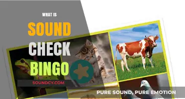 Unveiling Sound Check Bingo: A Fun Twist on Traditional Bingo Games