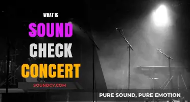 What is a Sound Check Concert: A Behind-the-Scenes Experience
