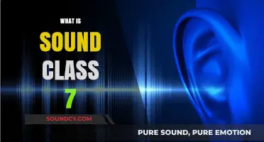 Understanding Sound: A Comprehensive Guide for Class 7 Students