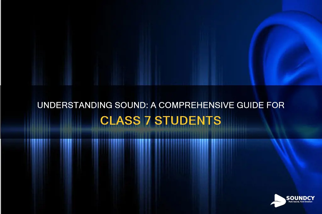 what is sound class 7
