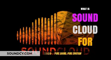 Understanding SoundCloud: A Platform for Music Sharing and Discovery