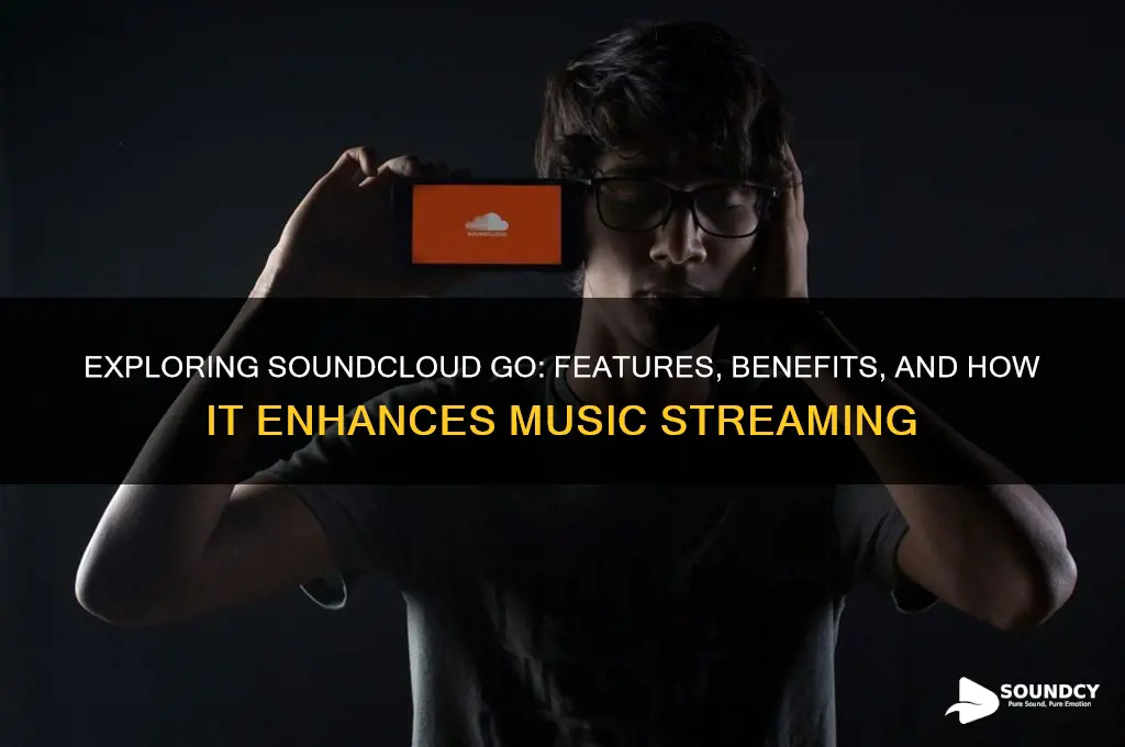 what is sound cloud go